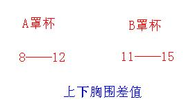 胸罩里有A罩杯和B罩杯。为什么会有ab杯？