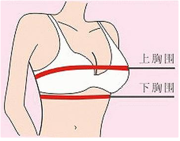 文胸下围紧3个解决方法