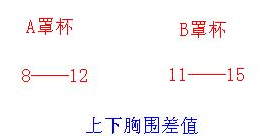 文胸大A杯小B杯是什么意思