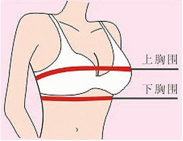女生如何正确测量腰围？