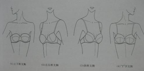 胸罩的四个主要组成部分决定了胸罩的功能