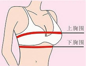 小胸女适合穿多大杯内衣