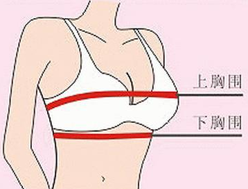 怎么选内衣尺码 作为女生是一定要会的