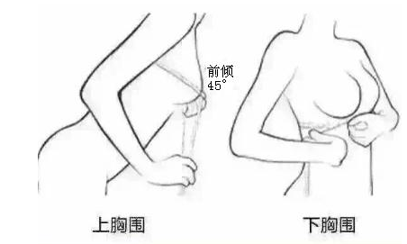 胸罩36B与38B有什么区别，38B和36B罩杯一样大吗