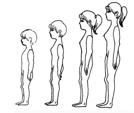 一个女孩如何知道她的乳房正在发育到什么阶段