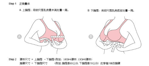 内衣尺寸选择，内衣尺码的选择.文胸的罩杯分类