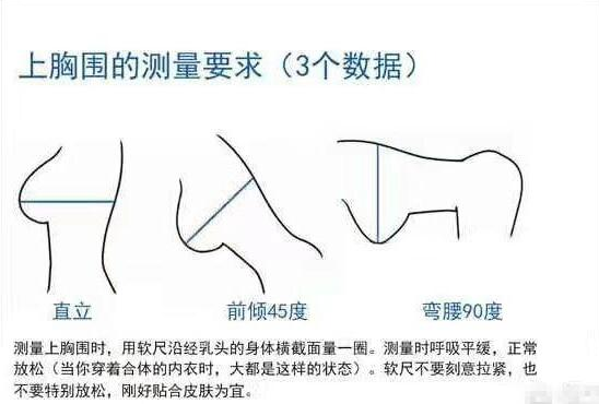 如何辨别女性文胸罩杯的大小？