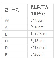 如何辨别女性文胸罩杯的大小？