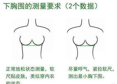 如何辨别女性文胸罩杯的大小？