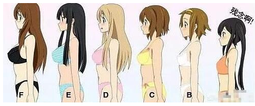 如何辨别女性文胸罩杯的大小？