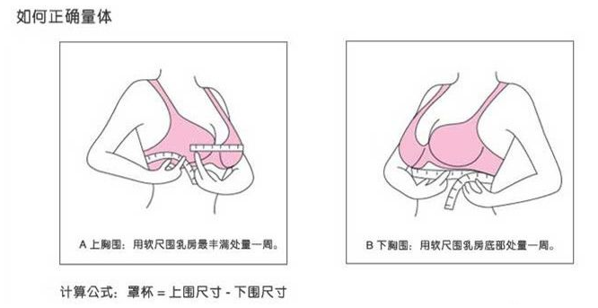 内衣挑选手册