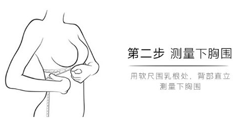 如何选择正确的文胸尺码？