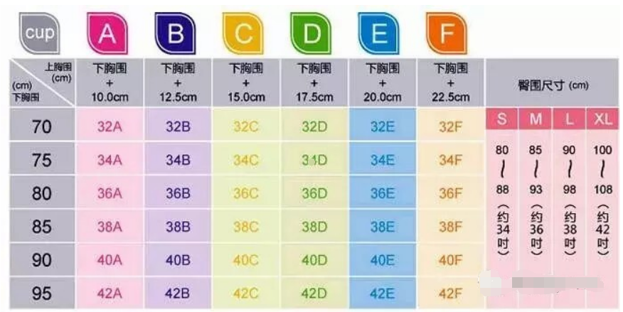 罩杯对照表，文胸ABCD尺码表（完整版）